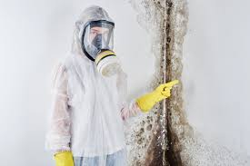 Best Mold Odor Removal Services in Hart, TX